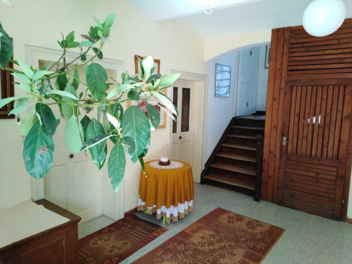 Apartments Banko 블레드 외부 사진